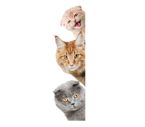 86c95ffff950171123e06f31fa34fc16