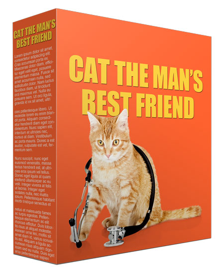 Cat As A Man's Best Friend