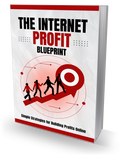The Internet Profit Blueprint